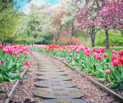 pathway-g9535e25eb_1920