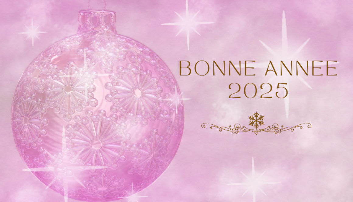 Bonne année 2025 (1)