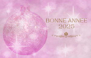 Bonne année 2025 (1)